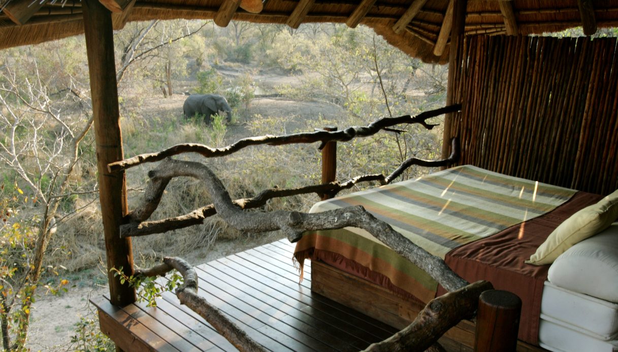 A bedroom with a view of elephants: a dream