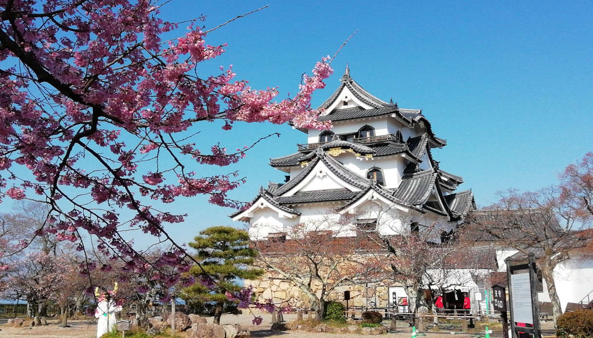 Discovering Kansai among thousand-year-old temples and samurai castles