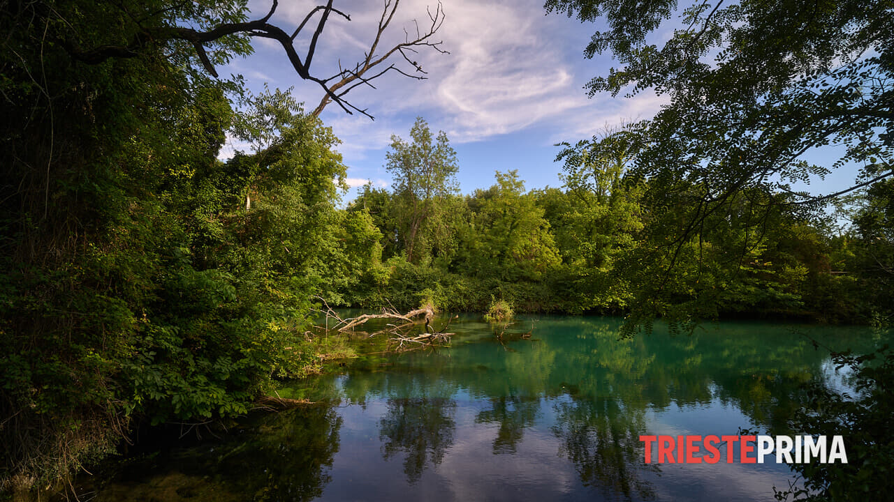 Friuli Venezia Giulia is one of the regions richest in flora