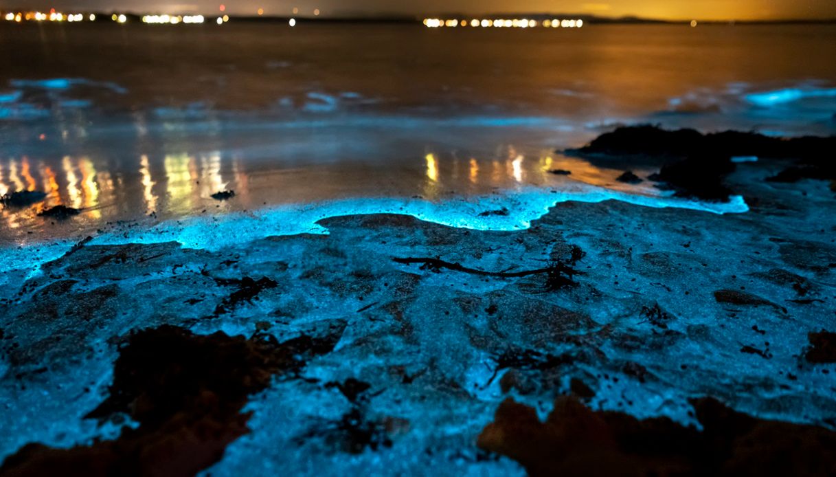 This is the whitest beach in the world: at night it turns into a fluorescent spectacle