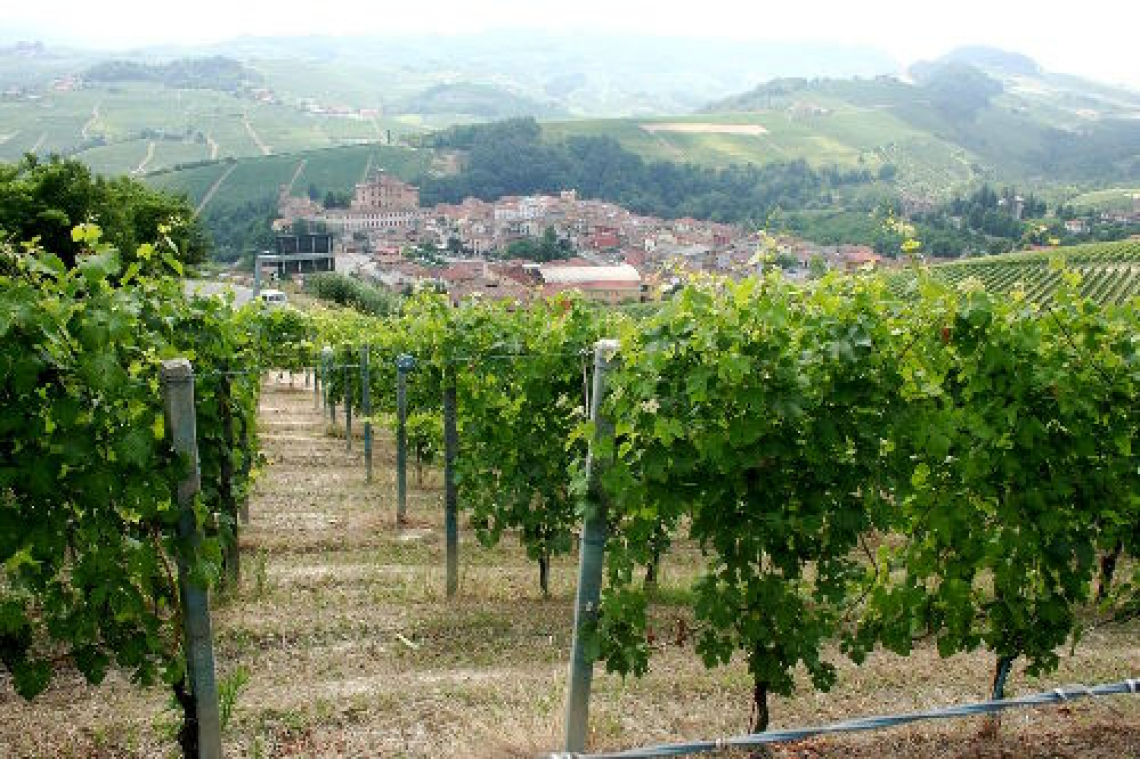 Upper Piedmont and Gran Monferrato: European City of Wine 2024 is underway